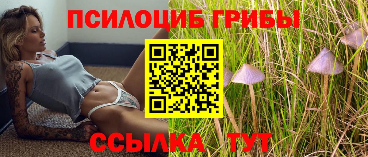 Кстово  Псилоцибиновые грибы прущие грибы  купить  сайты  Вход с VPN 