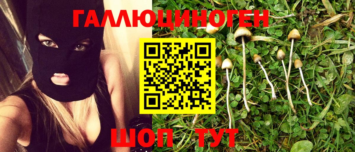 Галлюциногенные грибы Cubensis Кстово
